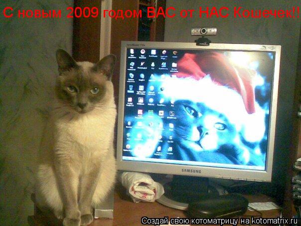 С новым 2009 годом ВАС от НАС Кошечек!!!... Котоматрица: С новым 2009 годом ВАС от НАС Кошечек!!!