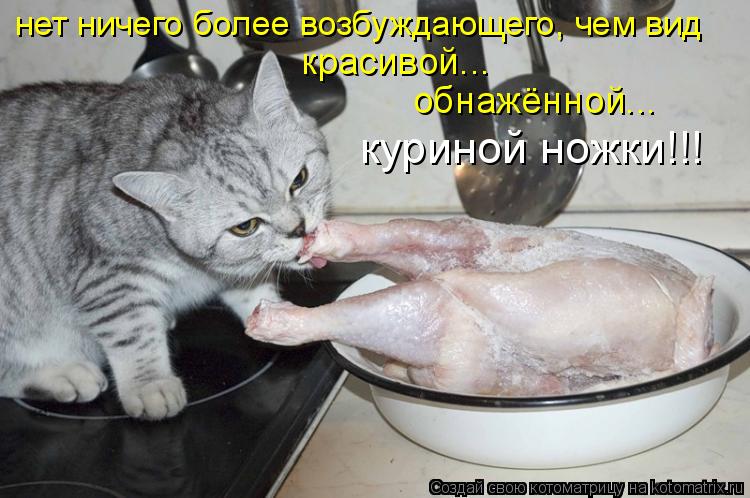 нет ничего более возбуждающего, чем вид красивой... обнажённой... куриной ножки!!!... Котоматрица: нет ничего более возбуждающего, чем вид красивой... обнажённой... куриной ножки!!!