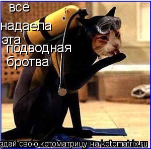 всё надаела эта подводная бротва... Котоматрица: всё надаела эта подводная бротва