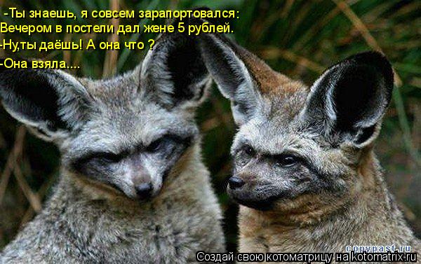 -Ты знаешь, я совсем зарапортовался : Вечером в постели дал жене 5 рублей. -Ну,ты даёшь! А она что ? ... Котоматрица: -Ты знаешь, я совсем зарапортовался : Вечером в постели дал жене 5 рублей. -Ну,ты даёшь! А она что ? -Она взяла....