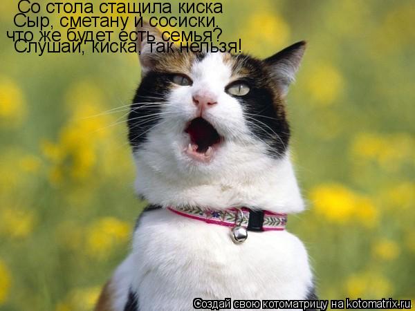 Со стола стащила киска Сыр, сметану и сосиски. что же будет есть семья? Слушай, киска, так нельзя!... Котоматрица: Со стола стащила киска Сыр, сметану и сосиски. что же будет есть семья? Слушай, киска, так нельзя!