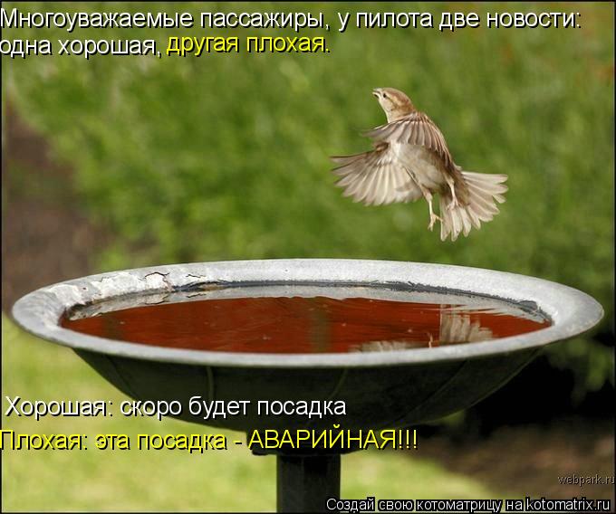 Многоуважаемые пассажиры, у пилота две новости: одна хорошая, другая плохая. Хорошая: скоро будет пос... Котоматрица: Многоуважаемые пассажиры, у пилота две новости: одна хорошая, другая плохая. Хорошая: скоро будет посадка Плохая: эта посадка - АВАРИЙНАЯ!!!
