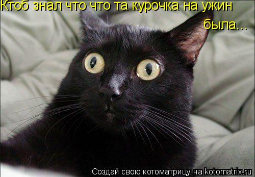 Ктоб знал что что та курочка на ужин была...... Котоматрица: Ктоб знал что что та курочка на ужин была...