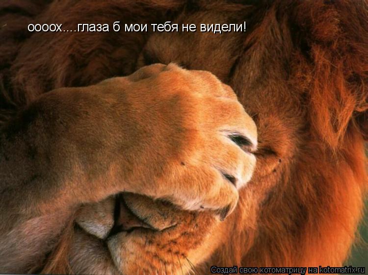 оооох....глаза б мои тебя не видели!... Котоматрица: оооох....глаза б мои тебя не видели!