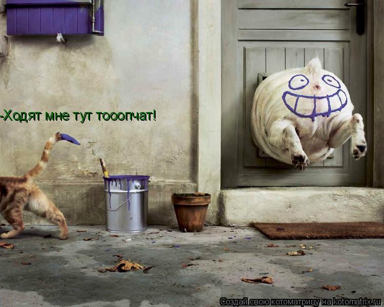 -Ходят мне тут тооопчат!... Котоматрица: -Ходят мне тут тооопчат!