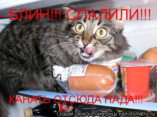 Котоматрица: - БЛИН!!! СПАЛИЛИ!!! КАНАТЬ ОТСЮДА НАДА!!!