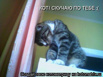 КОТ! СКУЧАЮ ПО ТЕБЕ ;(... Котоматрица: КОТ! СКУЧАЮ ПО ТЕБЕ ;(