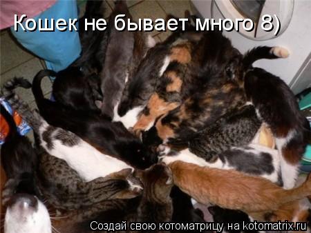 Кошек не бывает много 8)... Котоматрица: Кошек не бывает много 8)