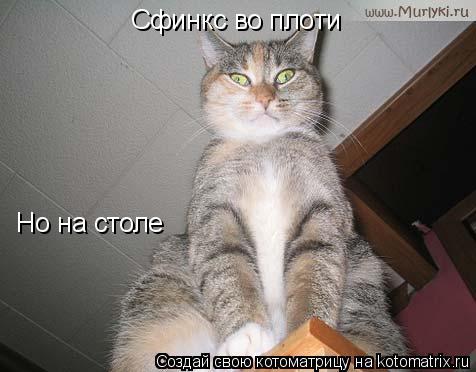 Сфинкс во плоти Но на столе... Котоматрица: Сфинкс во плоти Но на столе