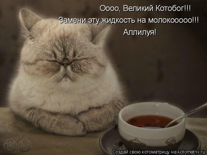 Оооо, Великий Котобог!!! Замени эту жидкость на молокооооо!!! Аллилуя!... Котоматрица: Оооо, Великий Котобог!!! Замени эту жидкость на молокооооо!!! Аллилуя!