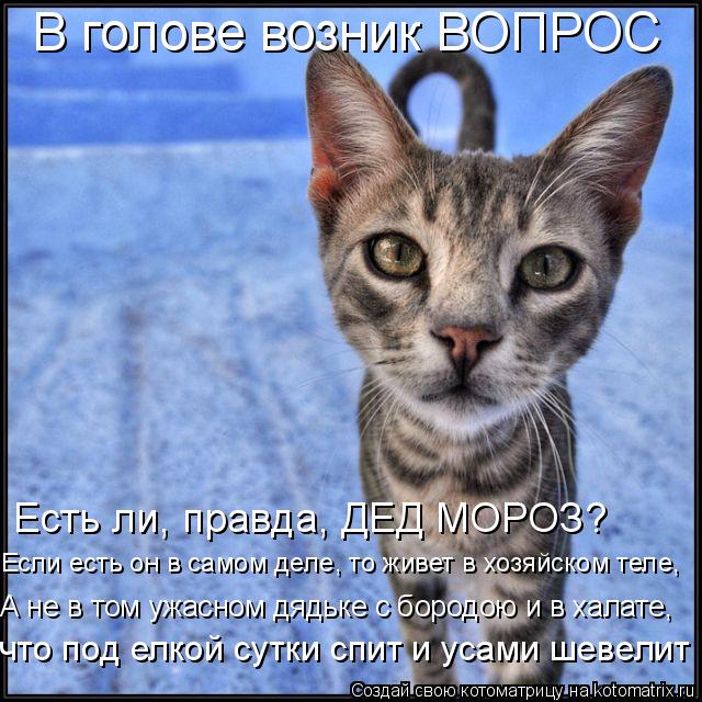 В голове возник ВОПРОС А не в том ужасном дядьке с бородою и в халате, Если есть он в самом деле, то... Котоматрица: В голове возник ВОПРОС А не в том ужасном дядьке с бородою и в халате, Если есть он в самом деле, то живет в хозяйском теле, что под елкой сутк