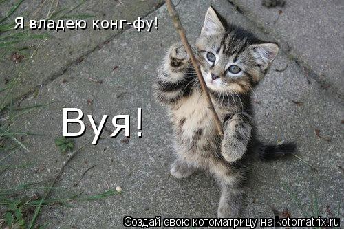 Я владею конг-фу! Вуя!... Котоматрица: Я владею конг-фу! Вуя!