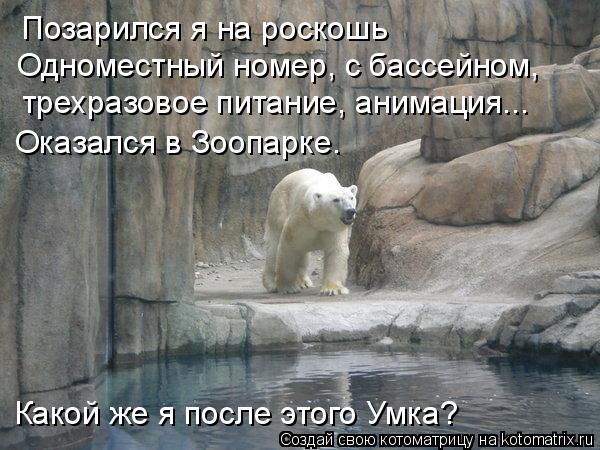Позарился я на роскошь Одноместный номер, с бассейном, трехразовое питание, анимация... Оказался в ... Котоматрица: Позарился я на роскошь Одноместный номер, с бассейном, трехразовое питание, анимация... Оказался в Зоопарке. Какой же я после этого Умка?