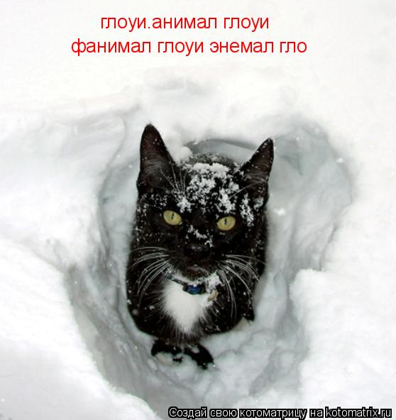 глоуи.анимал глоуи фанимал глоуи энемал гло... Котоматрица: глоуи.анимал глоуи фанимал глоуи энемал гло