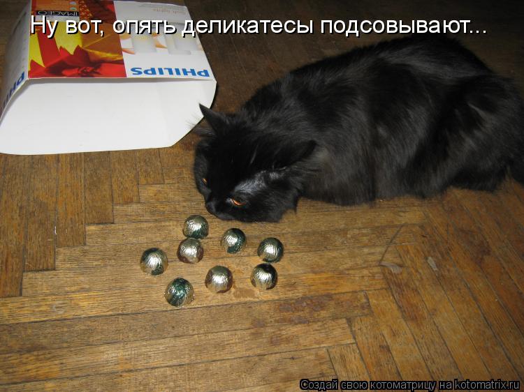 Ну вот, опять деликатесы подсовывают...... Котоматрица: Ну вот, опять деликатесы подсовывают...