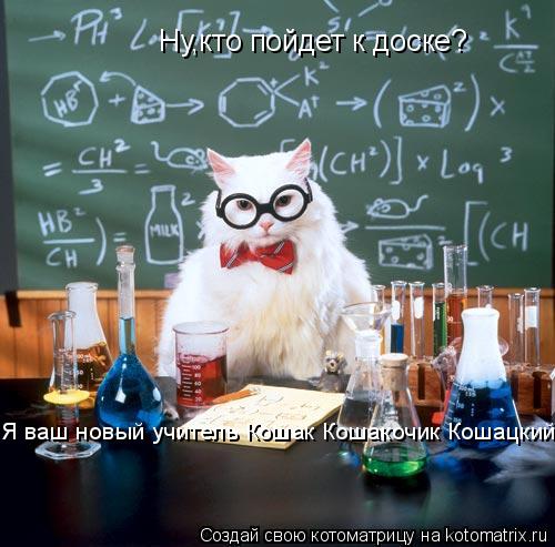Ну,кто пойдет к доске? Я ваш новый учитель Кошак Кошакочик Кошацкий!... Котоматрица: Ну,кто пойдет к доске? Я ваш новый учитель Кошак Кошакочик Кошацкий!