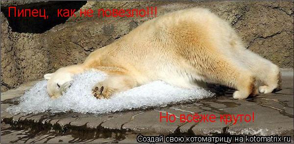 Котоматрица: Пипец,  как не повезло!!! Но всёже круто!