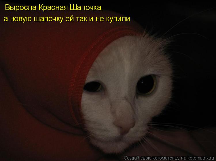 Выросла Красная Шапочка, а новую шапочку ей так и не купили... Котоматрица: Выросла Красная Шапочка, а новую шапочку ей так и не купили