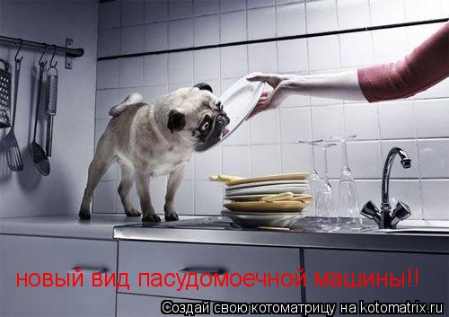 новый вид пасудомоечной машины!!... Котоматрица: новый вид пасудомоечной машины!!