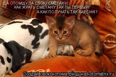 ЩА ОТОМЩУ ЗА СВОЮ СМЕТАНУ! КАК ЖРАТЬ СМЕТАНУ ТАК ТЫ ПЕРВЫЙ! А КАК ПОЛУЧАТЬ ТАК БАРСИК!?... Котоматрица: ЩА ОТОМЩУ ЗА СВОЮ СМЕТАНУ! КАК ЖРАТЬ СМЕТАНУ ТАК ТЫ ПЕРВЫЙ! А КАК ПОЛУЧАТЬ ТАК БАРСИК!?