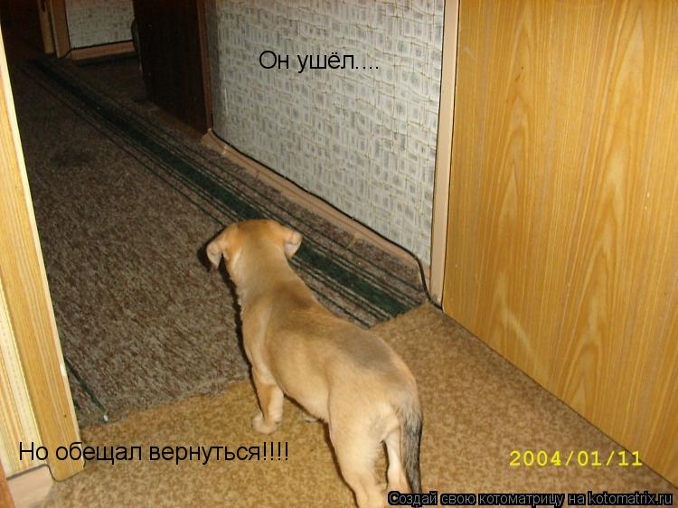 Он ушёл.... Но обещал вернуться!!!!... Котоматрица: Он ушёл.... Но обещал вернуться!!!!