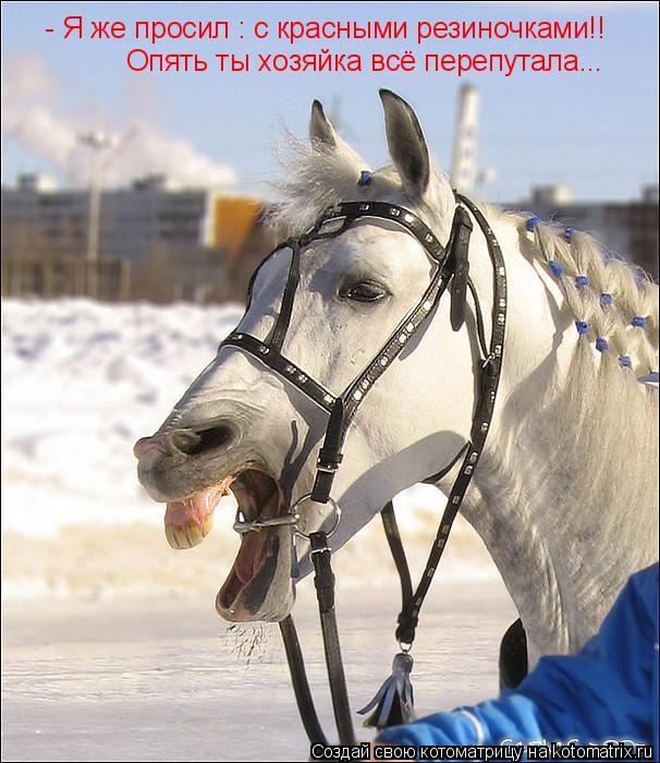 - Я же просил : с красными резиночками!! Опять ты хозяйка всё перепутала...... Котоматрица: - Я же просил : с красными резиночками!! Опять ты хозяйка всё перепутала...