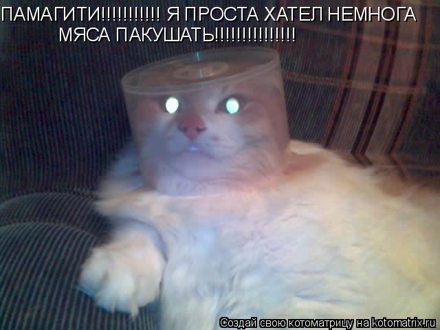 ПАМАГИТИ!!!!!!!!!!! Я ПРОСТА ХАТЕЛ НЕМНОГА МЯСА ПАКУШАТЬ!!!!!!!!!!!!!!!... Котоматрица: ПАМАГИТИ!!!!!!!!!!! Я ПРОСТА ХАТЕЛ НЕМНОГА МЯСА ПАКУШАТЬ!!!!!!!!!!!!!!!