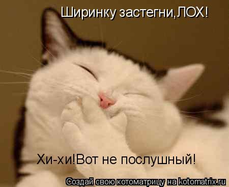 Ширинку застегни,ЛОХ! Хи-хи!Вот не послушный!... Котоматрица: Ширинку застегни,ЛОХ! Хи-хи!Вот не послушный!