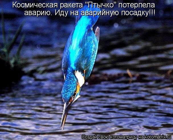 Космическая ракета "Птычко" потерпела аварию. Иду на аварийную посадку!!!... Котоматрица: Космическая ракета "Птычко" потерпела аварию. Иду на аварийную посадку!!!