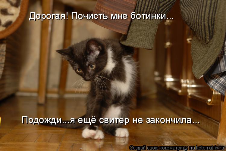 Дорогая! Почисть мне ботинки... Подожди...я ещё свитер не закончила...... Котоматрица: Дорогая! Почисть мне ботинки... Подожди...я ещё свитер не закончила...