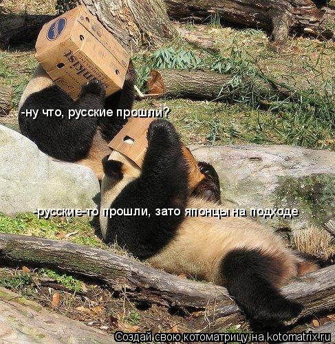 -русские-то прошли, зато японцы на подходе -ну что, русские прошли?... Котоматрица: -русские-то прошли, зато японцы на подходе -ну что, русские прошли?
