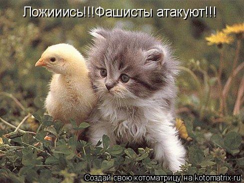 Ложииись!!!Фашисты атакуют!!!... Котоматрица: Ложииись!!!Фашисты атакуют!!!