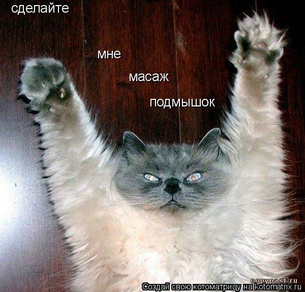 сделайте мне масаж подмышок... Котоматрица: сделайте мне масаж подмышок