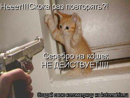 Нееет!!! Скока раз повторять?! Серебро на кошек НЕ ДЕЙСТВУЕТ!!!!... Котоматрица: Нееет!!! Скока раз повторять?! Серебро на кошек НЕ ДЕЙСТВУЕТ!!!!