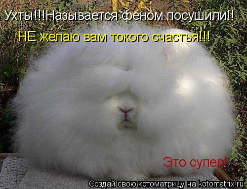 Котоматрица: Ухты!!!!!!!! Ухты!!!!!!!! Называется феном посушился!!!!!!!!!!! Ухты!!!Называется феном посушили!! Это супер! НЕ желаю вам токого счастья!!!