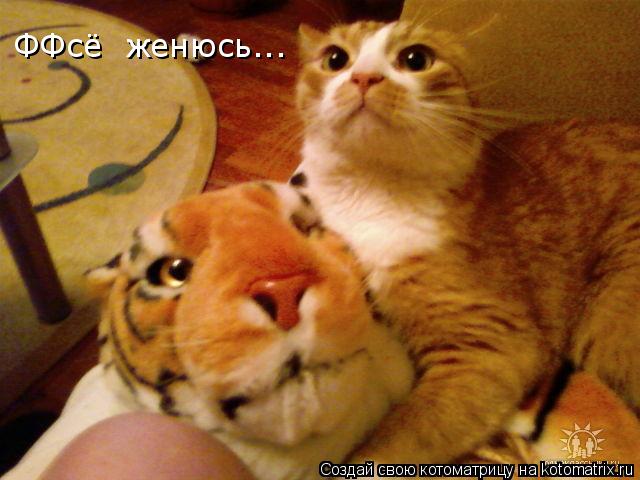 ФФсё женюсь...... Котоматрица: ФФсё женюсь...