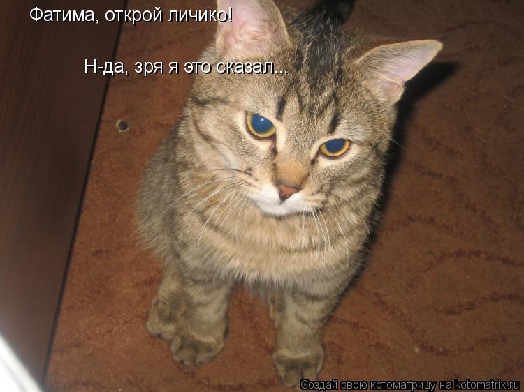 Фатима, открой личико! Н-да, зря я это сказал...... Котоматрица: Фатима, открой личико! Н-да, зря я это сказал...