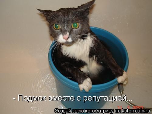 - Подмок вместе с репутацией...... Котоматрица: - Подмок вместе с репутацией...
