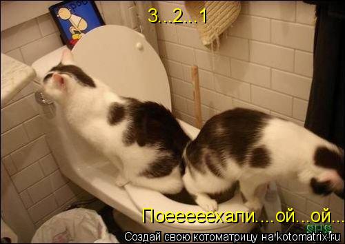 3...2...1 Поееееехали....ой...ой....... Котоматрица: 3...2...1 Поееееехали....ой...ой....
