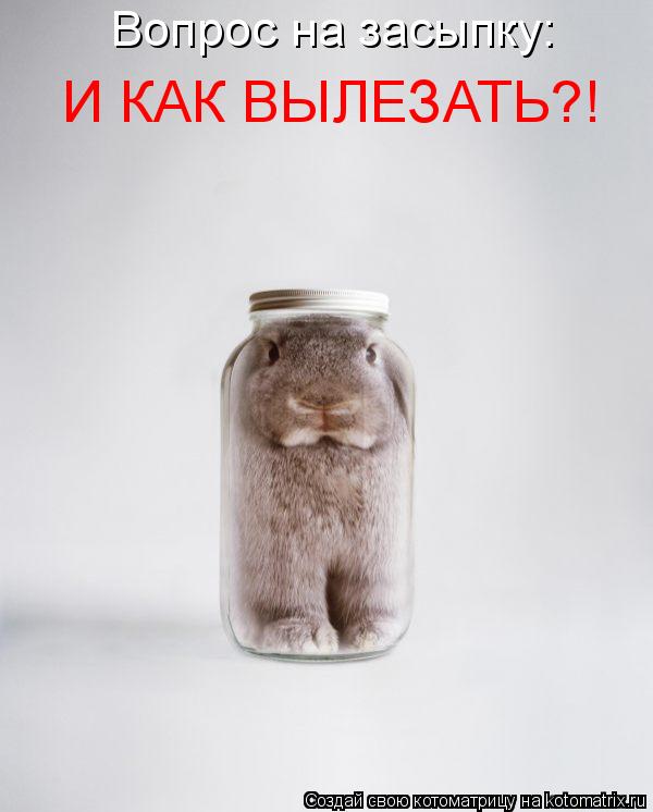 Вопрос на засыпку: И КАК ВЫЛЕЗАТЬ?!... Котоматрица: Вопрос на засыпку: И КАК ВЫЛЕЗАТЬ?!