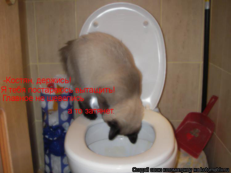 -Костян, держись! а то затянет. Я тебя постараюсь вытащить! Главное не шевелись... Котоматрица: -Костян, держись! а то затянет. Я тебя постараюсь вытащить! Главное не шевелись