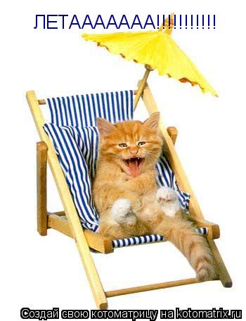 ЛЕТААААААА!!!!!!!!!!!... Котоматрица: ЛЕТААААААА!!!!!!!!!!!