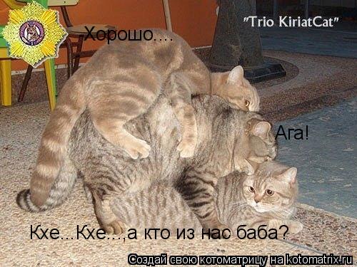 Кхе...Кхе...,а кто из нас баба? Хорошо.... Ага!... Котоматрица: Кхе...Кхе...,а кто из нас баба? Хорошо.... Ага!