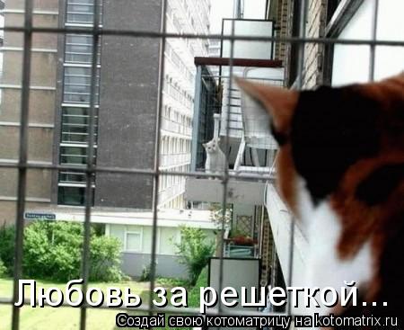 Любовь за решеткой...... Котоматрица: Любовь за решеткой...