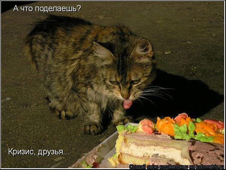 А что поделаешь? Кризис, друзья...... Котоматрица: А что поделаешь? Кризис, друзья...