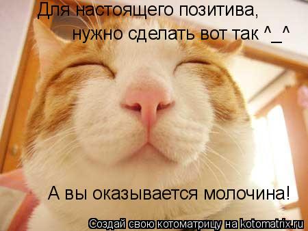 Для настоящего позитива, нужно сделать вот так ^_^ А вы оказывается молочина!... Котоматрица: Для настоящего позитива, нужно сделать вот так ^_^ А вы оказывается молочина!