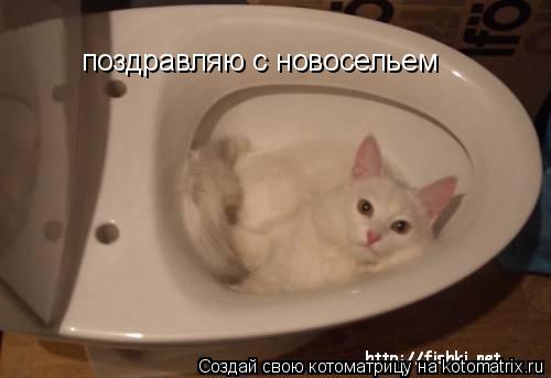 поздравляю с новосельем... Котоматрица: поздравляю с новосельем