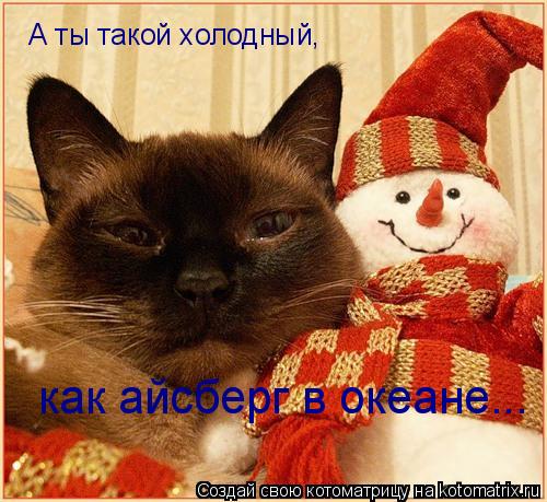 А ты такой холодный, как айсберг в океане...... Котоматрица: А ты такой холодный, как айсберг в океане...