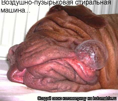 Воздушно-пузырьковая стиральная машина...... Котоматрица: Воздушно-пузырьковая стиральная машина...