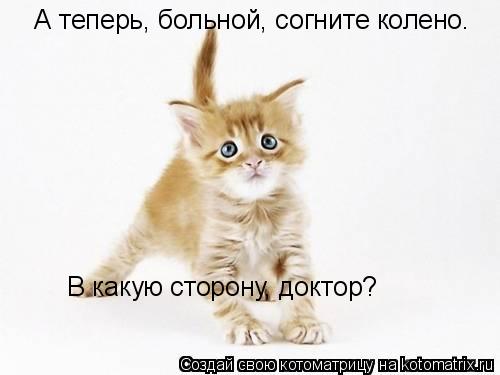 А теперь, больной, согните колено. В какую сторону, доктор?... Котоматрица: А теперь, больной, согните колено. В какую сторону, доктор?